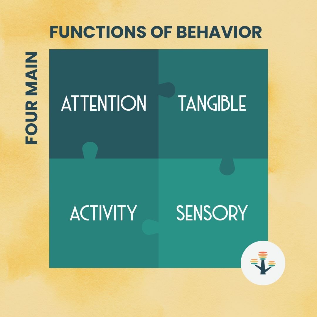 Beyond the Behavior: Finding the Why Behind What You See
