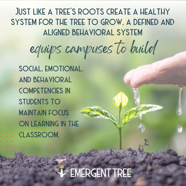 Healthy Root System3