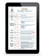 Correction Flowchart Example_iPad